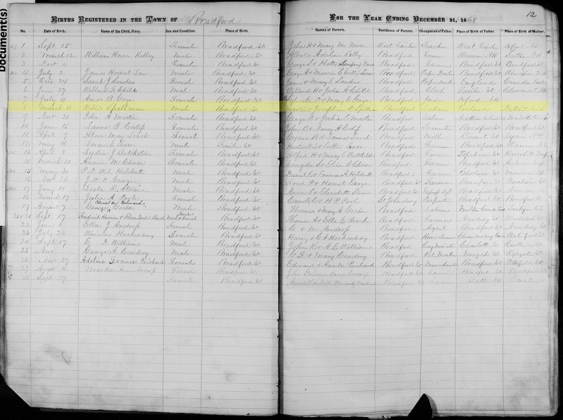 Bradford-births-1868-highlighted.jpg