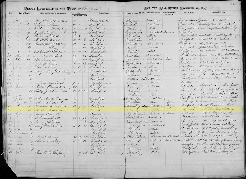 Bradford-deaths-1879-highlighted.jpg